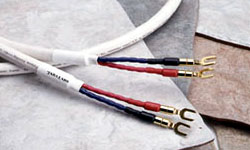 Speaker Cable