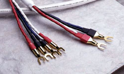 Speaker Cable